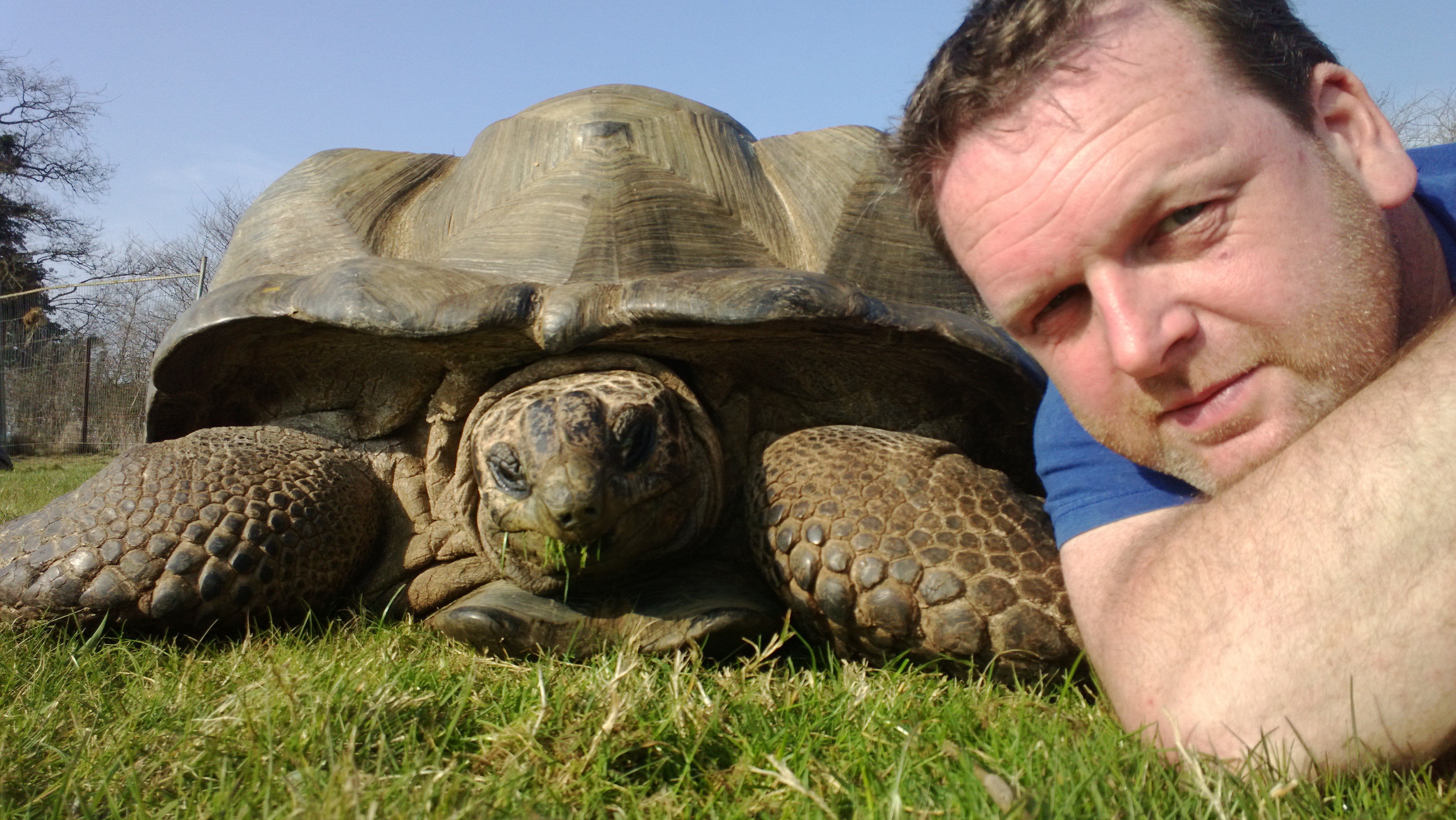 Giant Tortoises